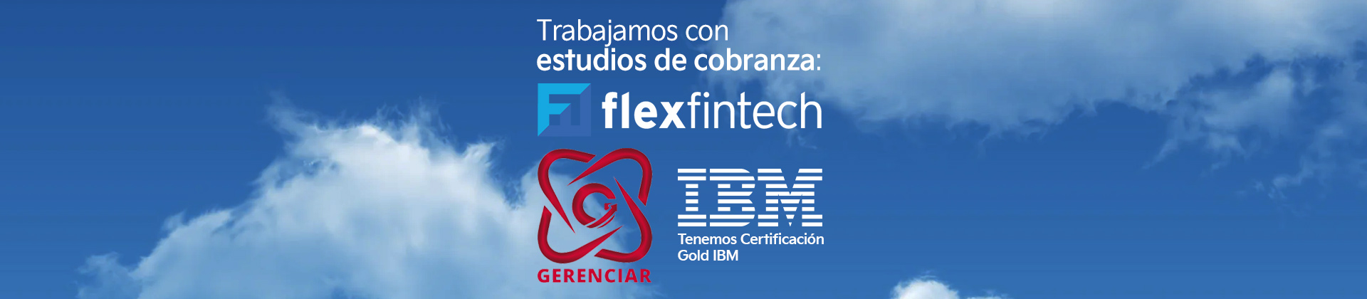 Flexfintech